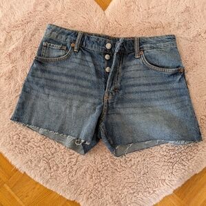 NWOT H & M 90'S Boyfriend Shorts Low Waist Size US 2